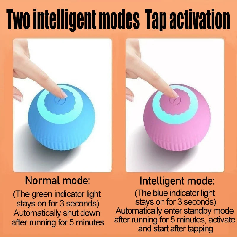 Interactive Cat Ball