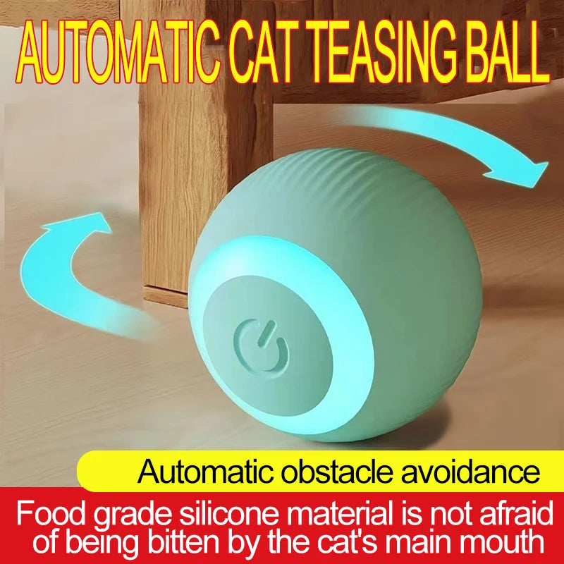 Interactive Cat Ball